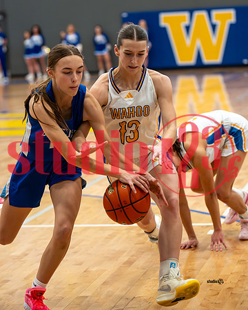 26_SD_WGBB_AG_0091 copy