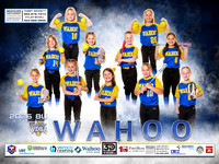 8U WHITE BANNER 2026