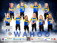2026 WDSA Softball Banners