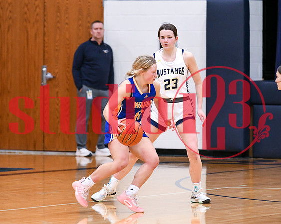 SUBD_RCvsWGBBBall_0215