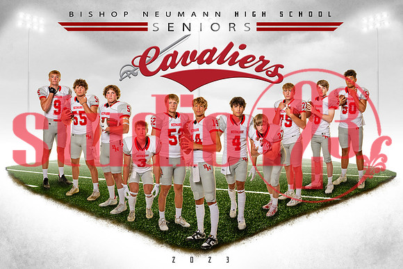 24x36 BN Football coyote Team banner