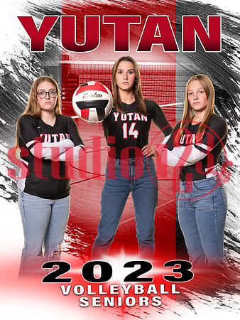 yutan Volleyball banner