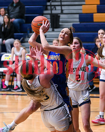 SUBD_RCvsWGBBBall_0046