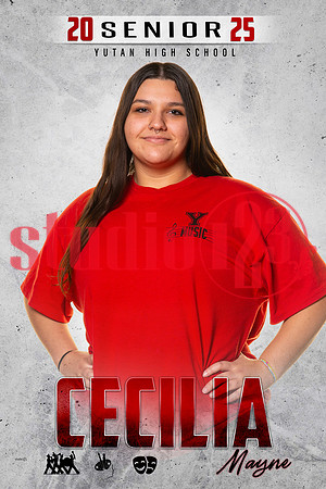 YSR_2025_0044