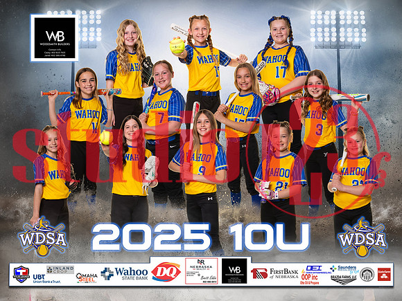 2025 Banners WDSA 3x4 10U Gold