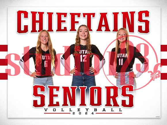 Yutan Volleyball Seniors