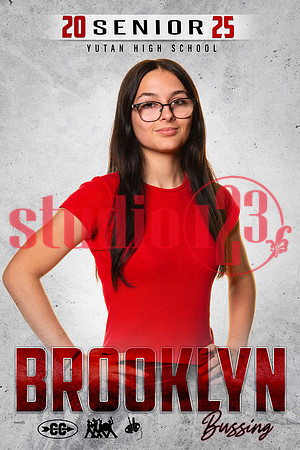 YSR_2025_0045